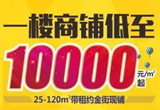 热度持续不减！10000元/平米起买真金现铺